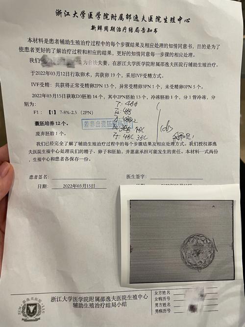 47岁试管成功(47岁试管成功：希望之光)